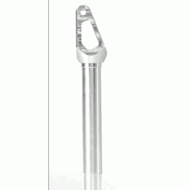 Apex Quantum Forks Raw
